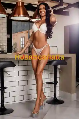 Seconda immagine della gallery