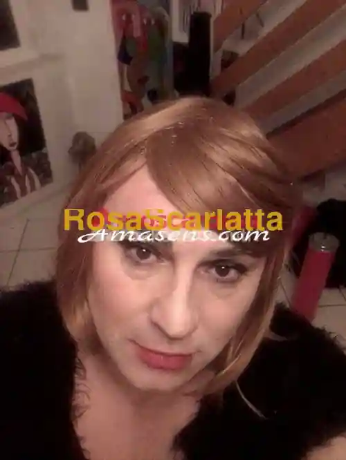 Foto 2 di Liljy, escort a Erba