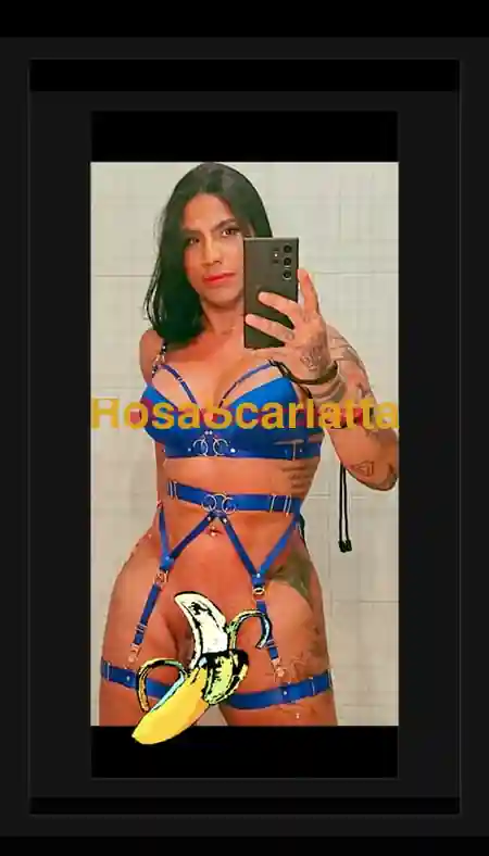 Foto 2 di Fernanda xl grosso, trans a Ivrea