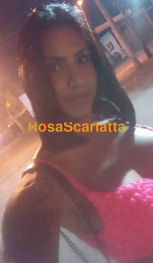 Foto 3 di Fernanda xl grosso, trans a Ivrea