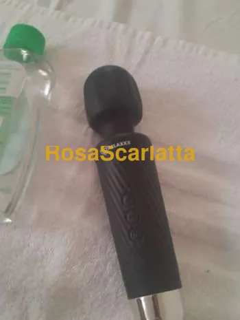 Mestre