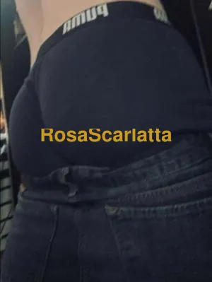 Alex - Gigolò Vigevano