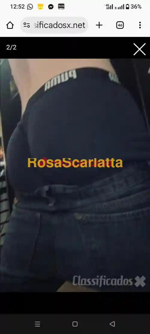 Foto 2 di Alex, gigolò a Vigevano