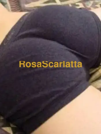 Toyboy oggi solo ragazze trans - Gigolò Abbiategrasso