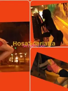 Bruna trans