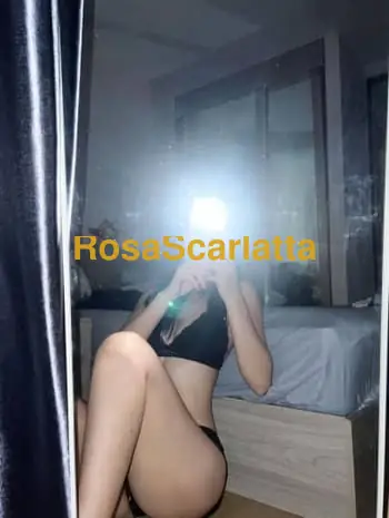 Jennifer sara stella