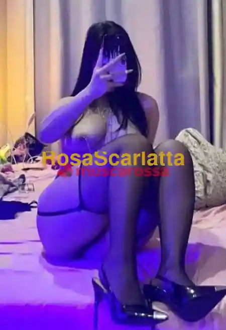 Foto 3 di Lisa, escort a Porto Sant'Elpidio