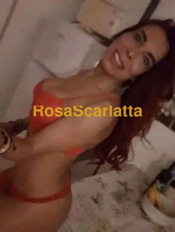 Alessandratrans - Rimini