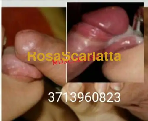 Foto 3 di Rosa, escort a Firenze