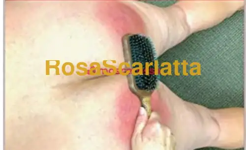 Foto 3 di Chiavari, escort a Feltre