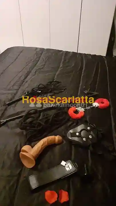 Foto 2 di Chiavari, escort a Feltre