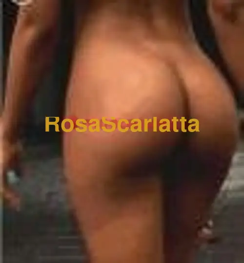 Terza immagine della gallery