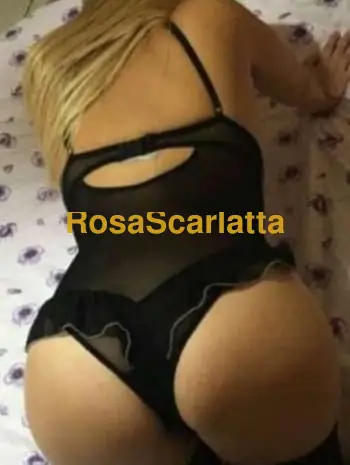 ti aspetta a siena