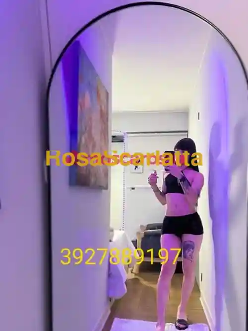 Seconda immagine della gallery