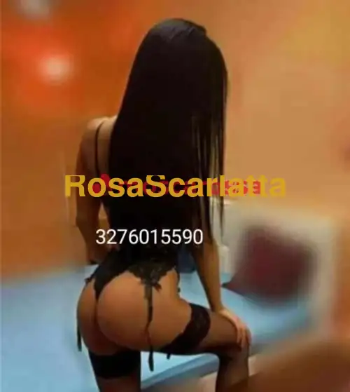 Foto 2 di Silvia, escort a Verona