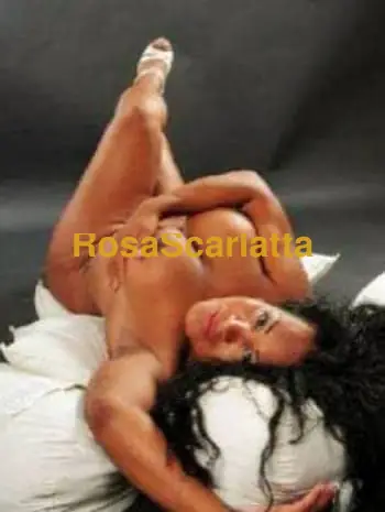 Yohana - Trans Ardea