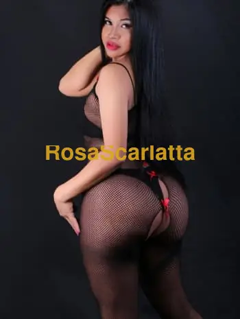 Pamelita