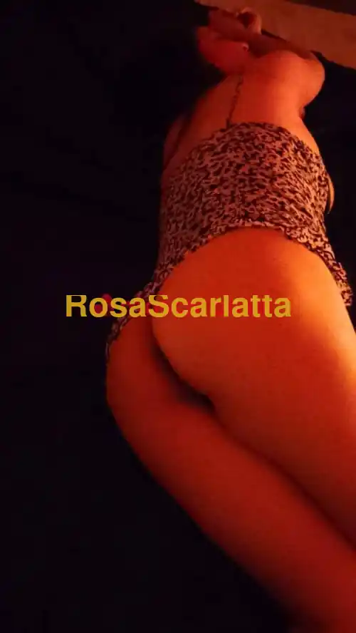 Foto 2 di escort a Torino