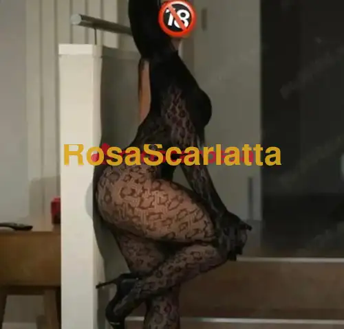 Foto 3 di Lara, escort a Aulla