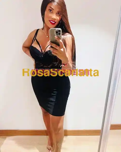 Foto 2 di Laiza ts, trans a Seregno