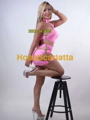 Roxi