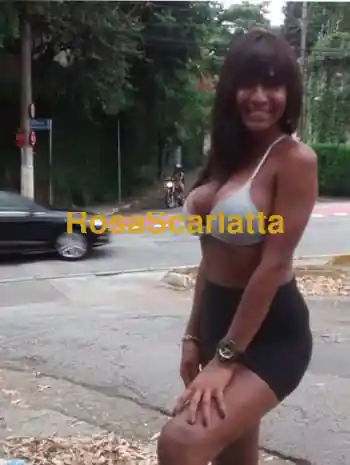 Kelly trans