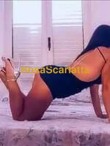 Maira trans