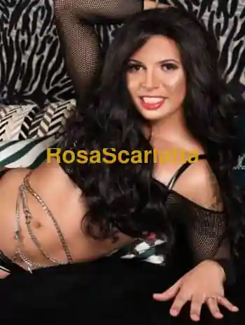 Vittoria - Trans Varese