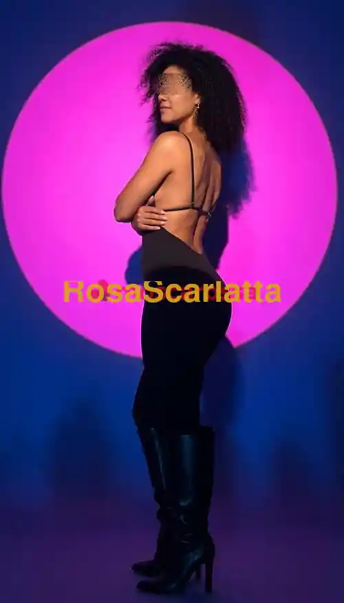 Foto 2 di Bianca, escort a Udine