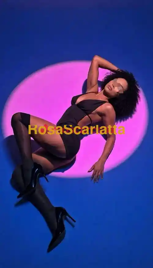 Foto 3 di Bianca, escort a Udine