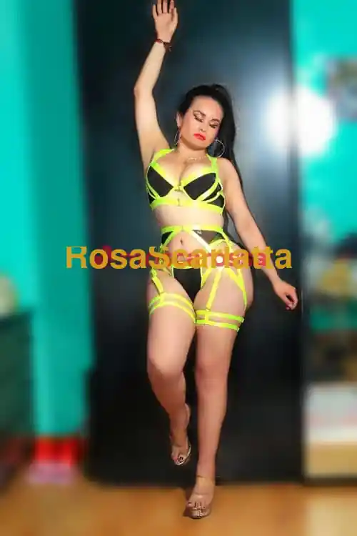 Seconda immagine della gallery