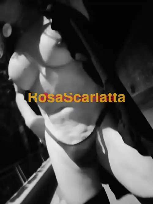 Foto 2 di Adele, trans a San Miniato