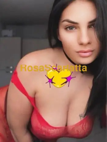 Ultimi giorni