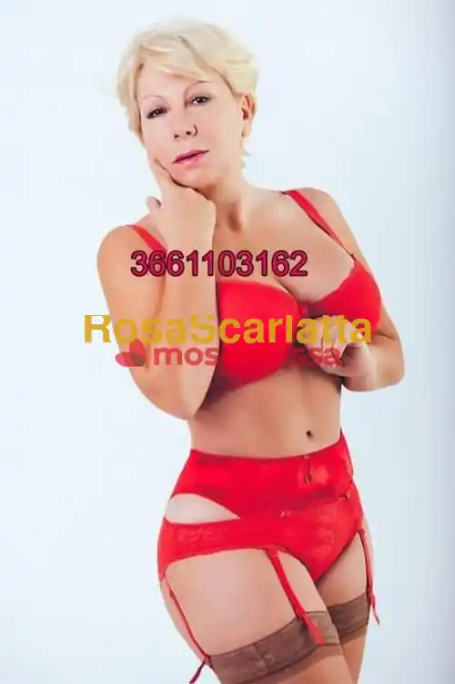 Foto 2 di New, escort a Cesena