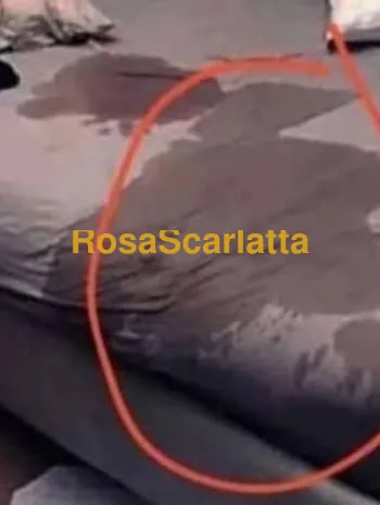 Alfred - Gigolò Salerno