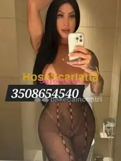 Letizia francavilla