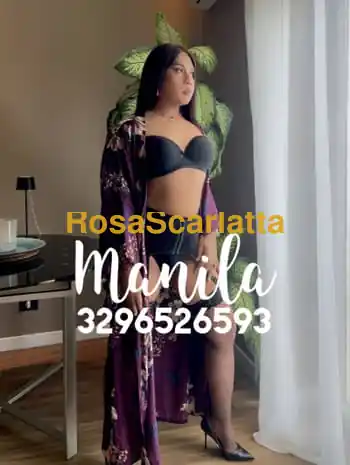 Manila asiatica - Roma