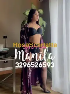 Manila asiatica