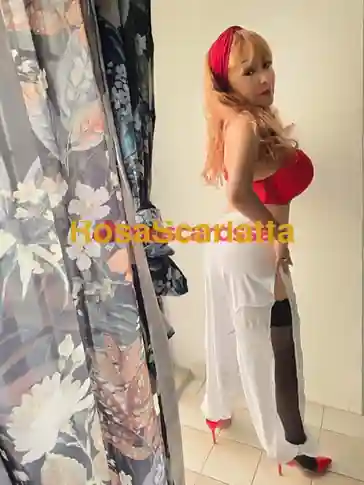 Foto 3 di Dolly, escort a Crotone