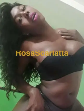 Dayana