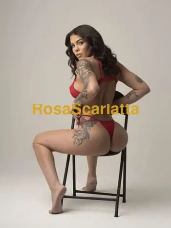 Larah brasiliana