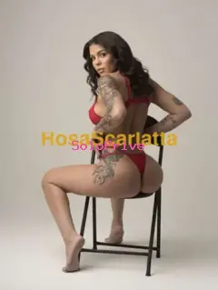 Larah brasiliana