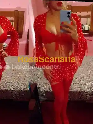 Anaconda trans