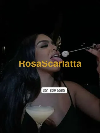 Elisa