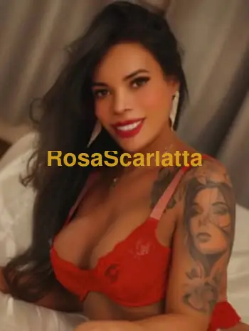 Keity trans - Torino