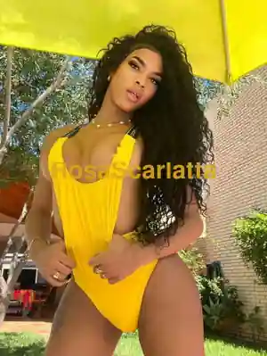 Alexa - Trans Verbania