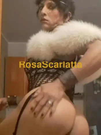 Trans francesca cat - Trans Chieri