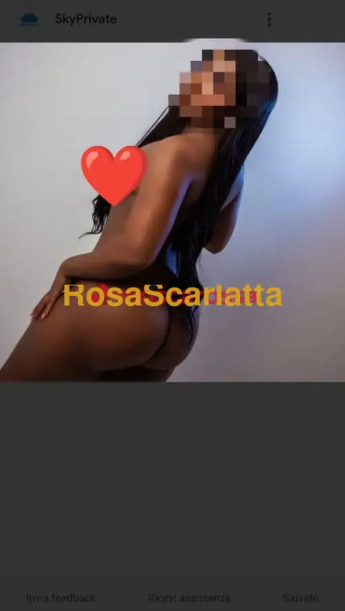 Foto 3 di Miriam, escort a Preganziol