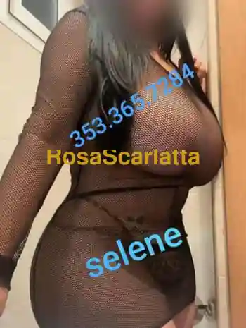 !! a moncalieri!!!novità!!! bella porcellina, , fondoschiena gigante, tetta enormi, tutta naturale..un vero vulcano. volendo anche con amica....