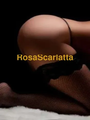 Amica cristina